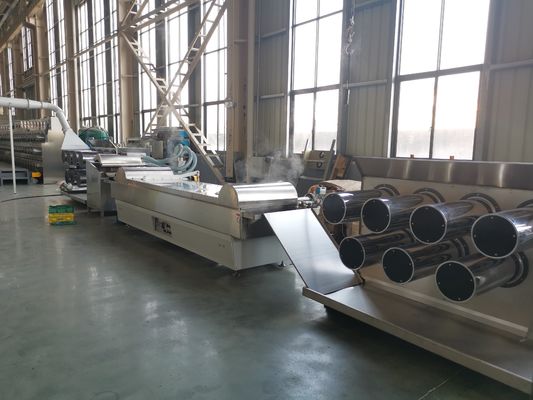 Qualité décoration en nylon de jardin de machine d'extrudeuse de 55kw 6400 Dtex usine